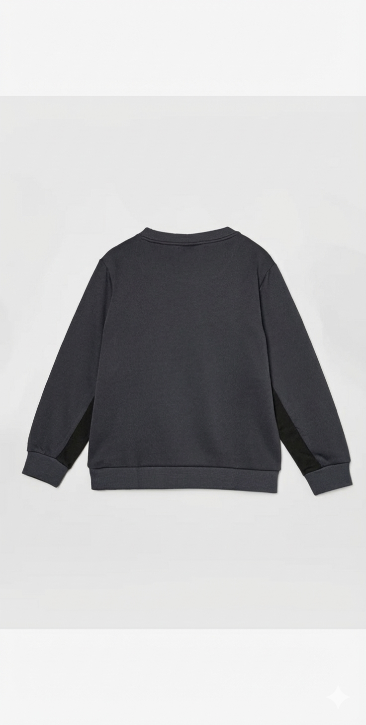 LACOSTE sweatshirt