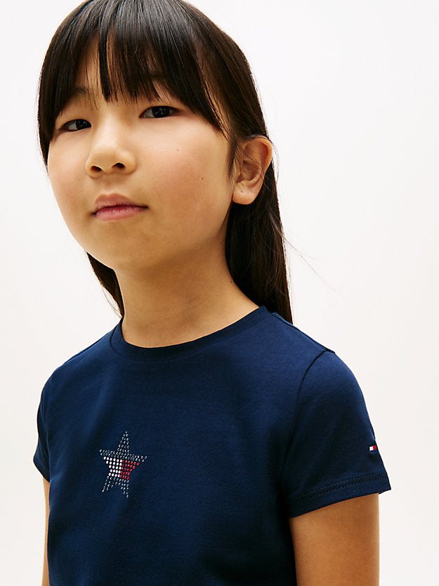 TOMMY HILFIGER t-shirt
